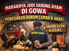 Judi Sabung Ayam di Wilayah Hukum Gowa merajalela: Aktivis desak Kapolres Gowa jangan pasif