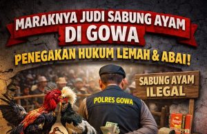 Judi Sabung Ayam di Wilayah Hukum Gowa merajalela: Aktivis desak Kapolres Gowa jangan pasif